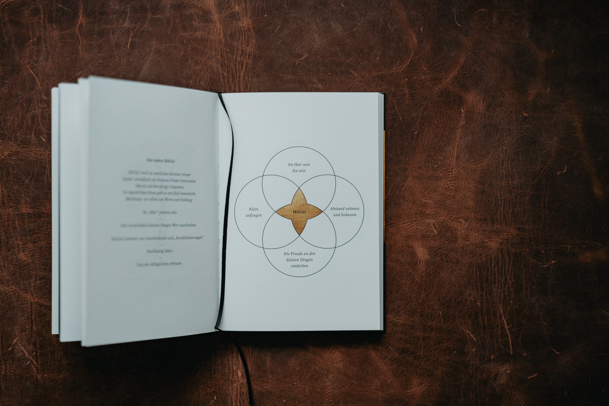 Ikigai